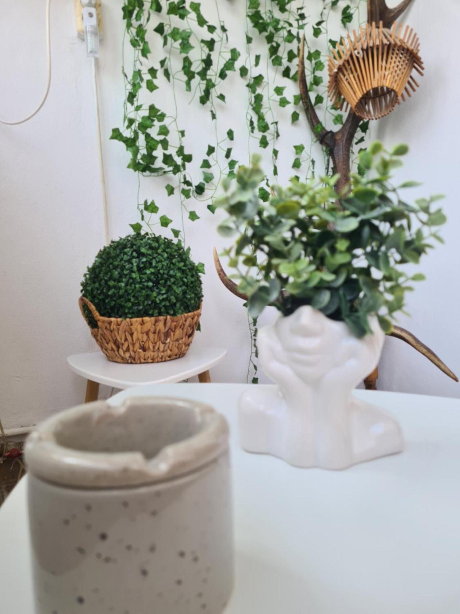 Apartment Cosy Escape