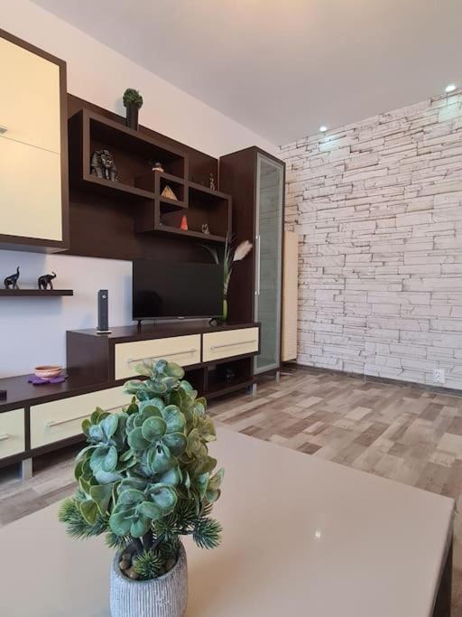 Apartment Cosy Escape Sfantu Gheorghe (Covasna)